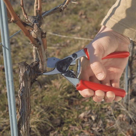 Sécateur FELCO 12 Poignée tournante