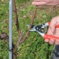 Sécateur FELCO 12 Poignée tournante