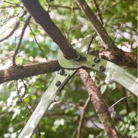 Élagueur FELCO 22