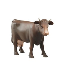 Vache