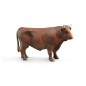 Taureau