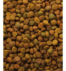 Classic Variety 10 kg
