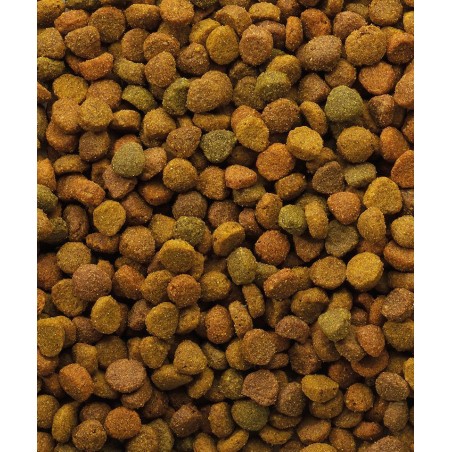 Classic Variety 10 kg