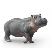 Hippopotame