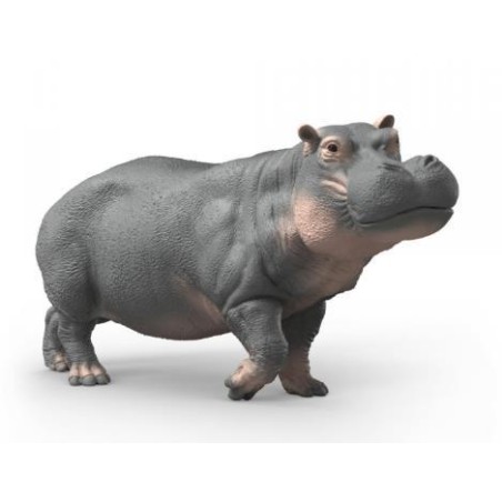 Hippopotame