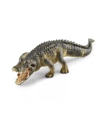 Alligator