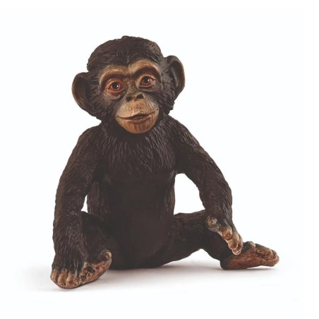 Jeune Chimpanzé