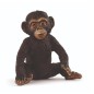 Jeune Chimpanzé
