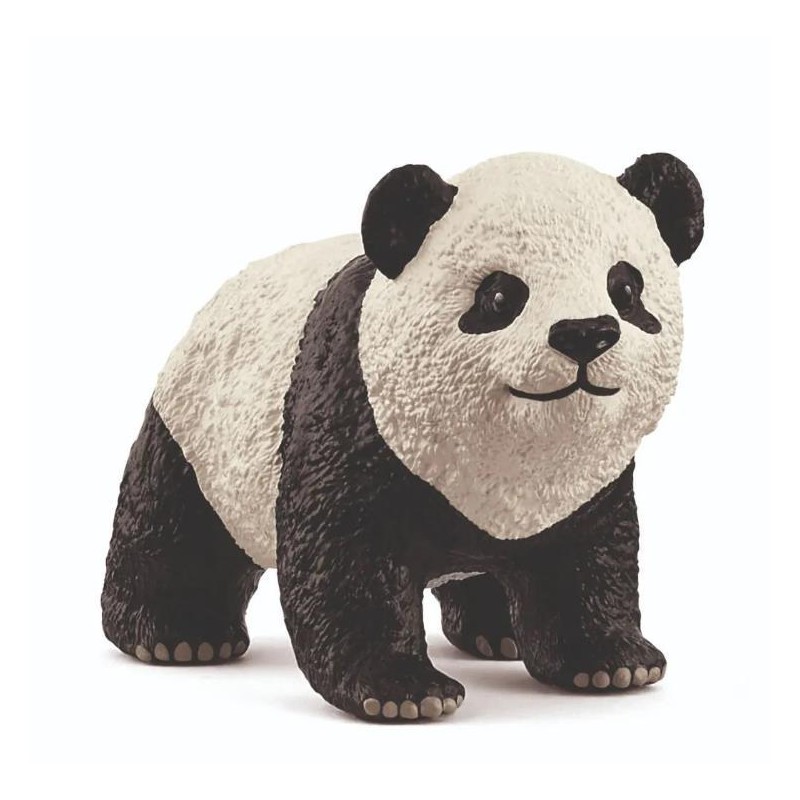Jeune Panda Géant