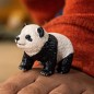 Jeune Panda Géant