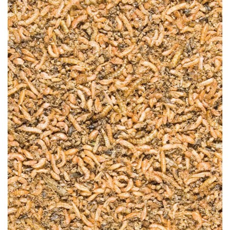 Insect mix 250g