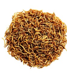 Vers de farine Menu Nature 300g