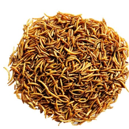 Vers de farine Menu Nature 300g