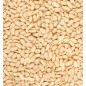 Arachides Décortiquées 1kg