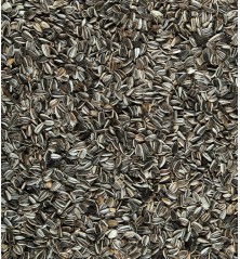 Graines de tournesol 7,5kg