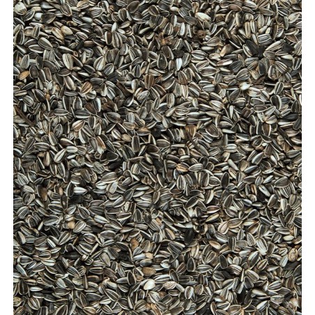 Graines de tournesol 7,5kg