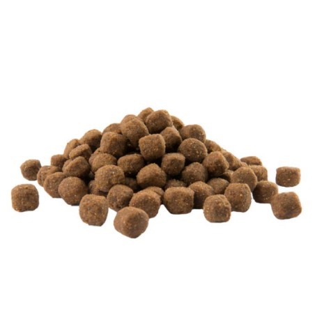 Opti Life Adult Medium 12,5 kg