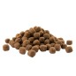 Opti Life Adult Medium 12,5 kg