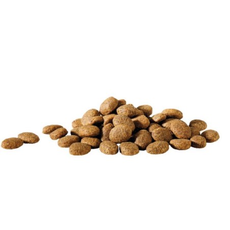 Essential Happy Life 20kg