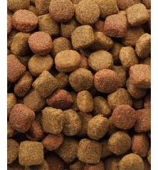 Oké Duo Krok 20kg