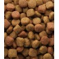 Oké Duo Krok 20kg