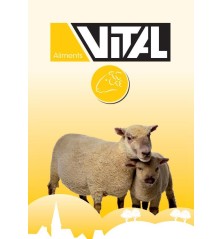 Vital Mouton et Chèvre 20kg