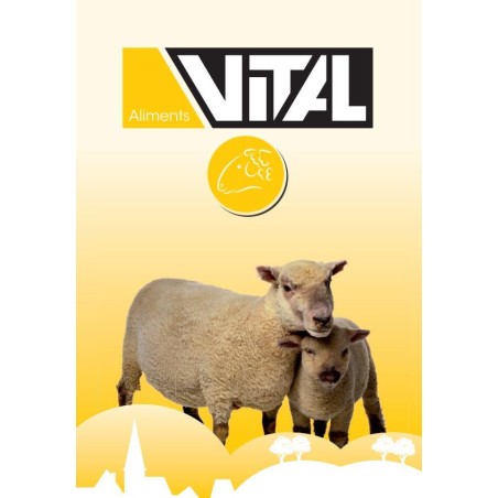 Vital Mouton et Chèvre 20kg