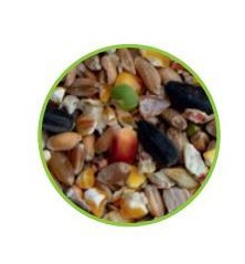 Vital Grains Cassés Vital Bio 25 kg