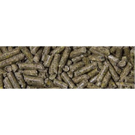 Acti Lap Vital Bio 25 kg