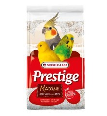 Fond de Cage Marine - blanc 5 kg