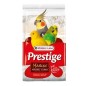 Fond de Cage Marine - blanc 5 kg