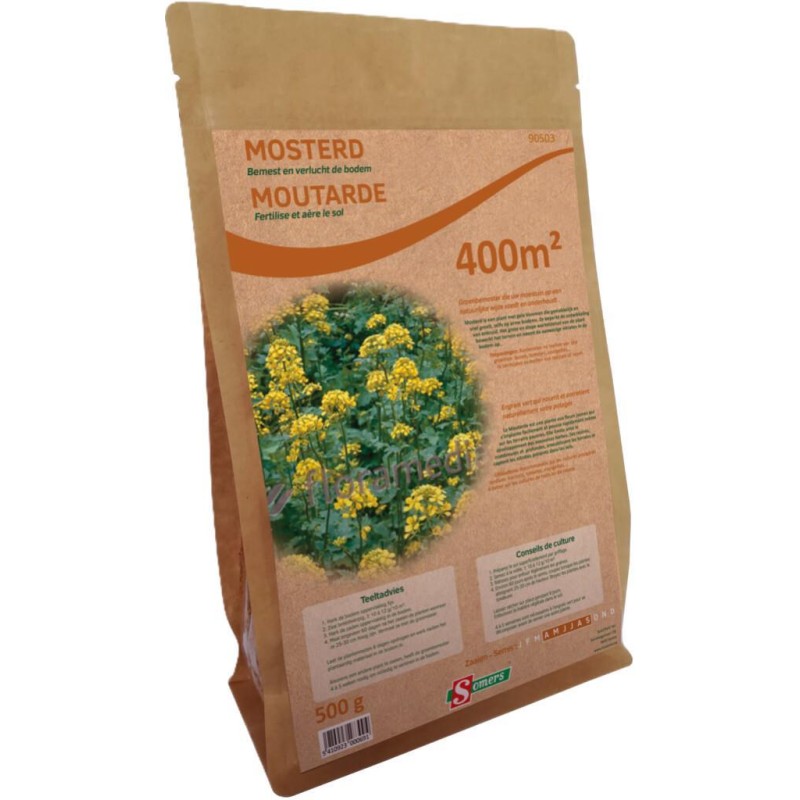 Graines de moutarde 500g  - 400 m²