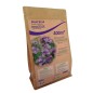 Phacelie 500g - 400 m²