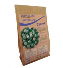 Trefle Blanc 500g - 250 m²