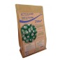 Trefle Blanc 500g - 250 m²
