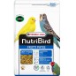 Frutti Patee 10 kg