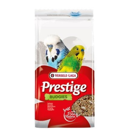 Perruches 1 kg