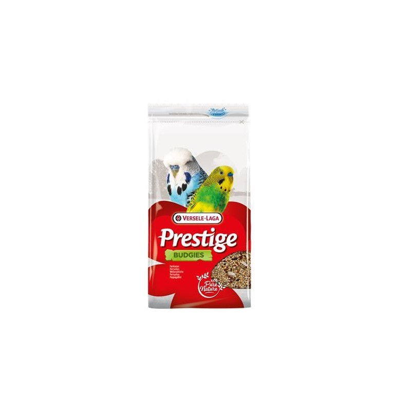 Perruches 4 kg