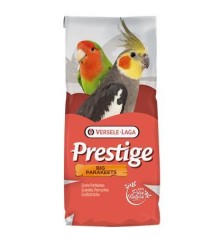 Grandes Perruches 20kg