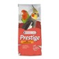 Grandes Perruches 20kg