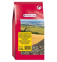 Tournesol Strié 2,5 kg