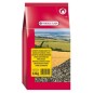 Tournesol Strié 2,5 kg