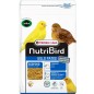 Gold Patee Canaris 1 kg