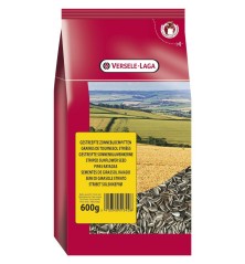 Tournesol Strié 600 g