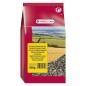 Tournesol Strié 600 g