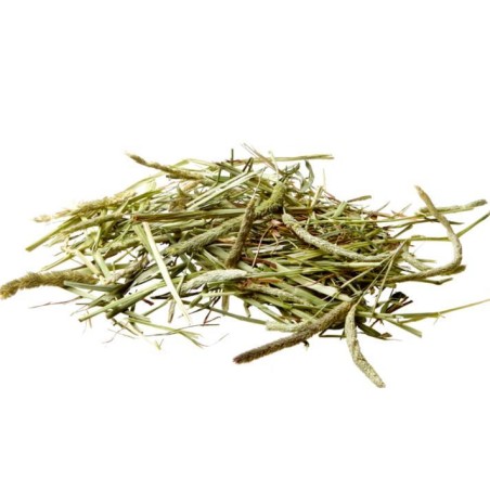 Timothy Hay 1kg