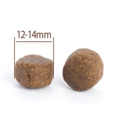 Adult All Breeds Lamb & Rice Dog 10kg CPRO FOOD