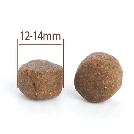 Adult All Breeds Lamb & Rice Dog 10kg CPRO FOOD