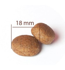 Large Adult All Breeds Chicken & Rice Dog 10kg CPRO FOOD