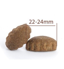 Adult All Breeds Lamb & Rice Large Dog 10kg CPRO FOOD
